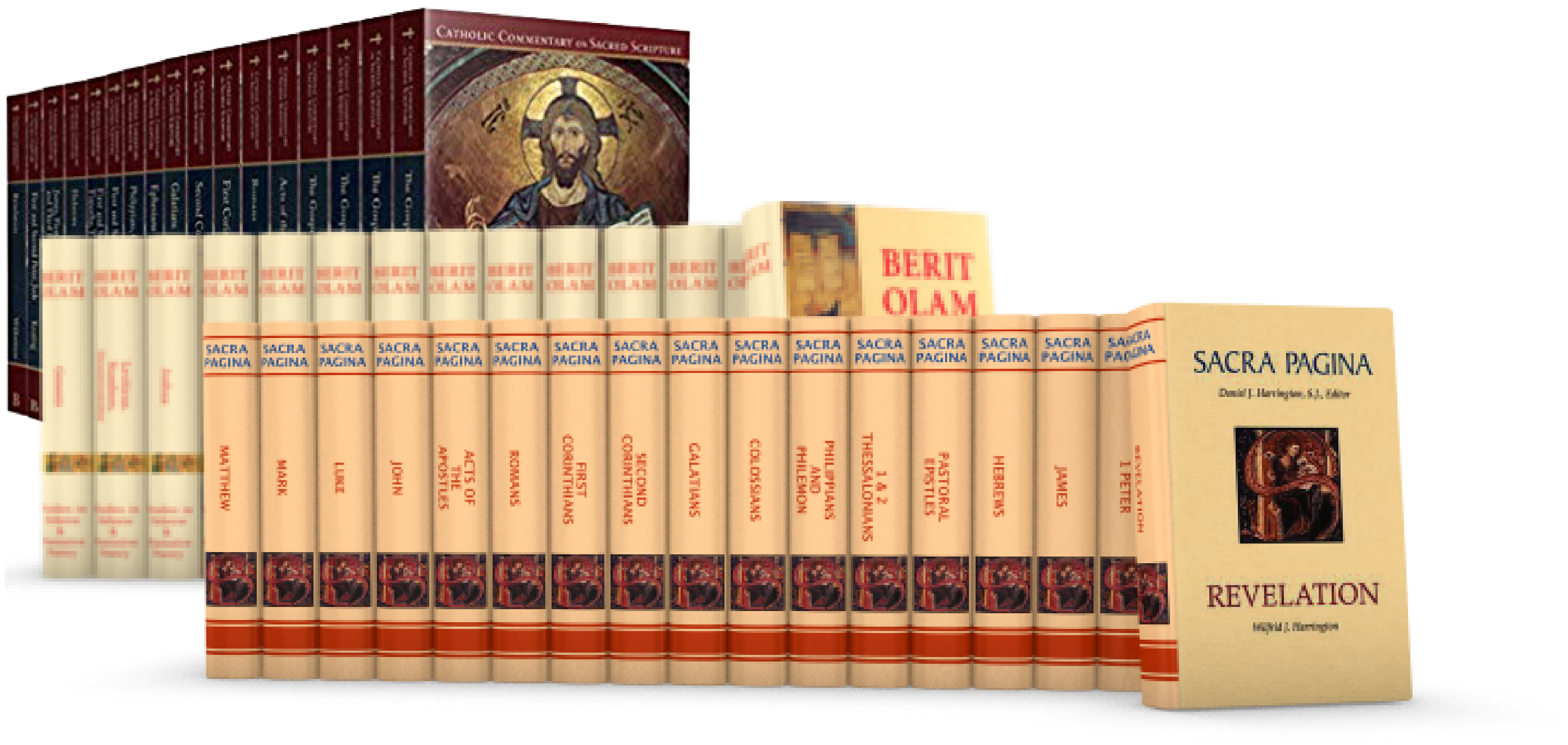 Catholic Commentaries Set Accordance